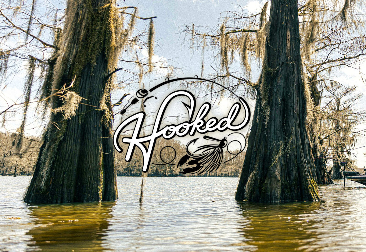 Cypress trees standing in a Texas lake